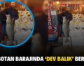 SİİRT BOTAN BARAJINDA ‘DEV BALIK’ BEREKETİ