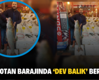 SİİRT BOTAN BARAJINDA ‘DEV BALIK’ BEREKETİ