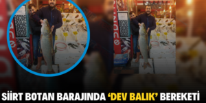 SİİRT BOTAN BARAJINDA ‘DEV BALIK’ BEREKETİ
