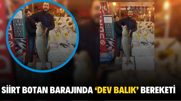 SİİRT BOTAN BARAJINDA ‘DEV BALIK’ BEREKETİ