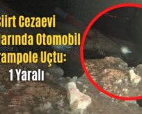 Siirt Cezaevi Yakınlarında Otomobil Şarampole Uçtu: 1 Yaralı