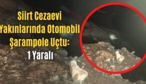 Siirt Cezaevi Yakınlarında Otomobil Şarampole Uçtu: 1 Yaralı