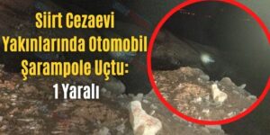 Siirt Cezaevi Yakınlarında Otomobil Şarampole Uçtu: 1 Yaralı