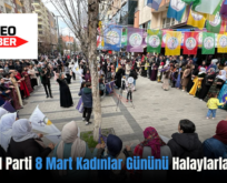 Siirt DEM Parti 8 Mart Kadınlar Gününü Halaylarla Kutladı