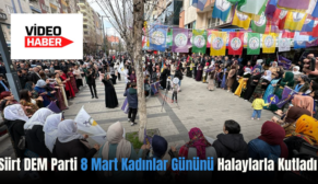 Siirt DEM Parti 8 Mart Kadınlar Gününü Halaylarla Kutladı