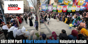 Siirt DEM Parti 8 Mart Kadınlar Gününü Halaylarla Kutladı