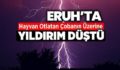 ERUH’TA ÜZERİNE YILDIRIM DÜŞEN ÇOBAN HAYATINI KAYBETTİ