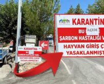 ERUH’TA ŞARBON GÖRÜLDÜ, İLÇEYE HAYVAN GİRİŞ VE ÇIKIŞI YASAKLANDI