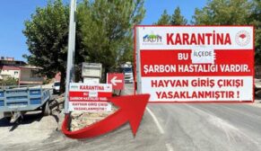 ERUH’TA ŞARBON GÖRÜLDÜ, İLÇEYE HAYVAN GİRİŞ VE ÇIKIŞI YASAKLANDI