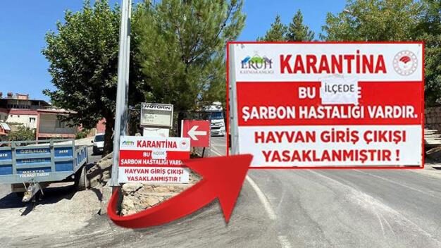 Siirt’in Eruh ilçesinde bir hayvanda şarbon hastalığı görülmesi üzerine, ilçeye