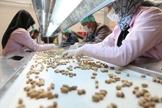 ”Siirt Fıstığı İşleme Sanayi ve Ticaret Anonim Şirketi’’ büyük market