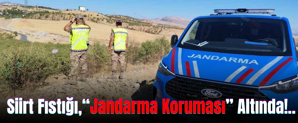 Siirt Fıstığı,“Jandarma Koruması” Altında!..