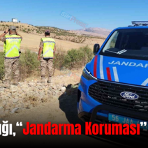 Siirt Fıstığı,“Jandarma Koruması” Altında!..