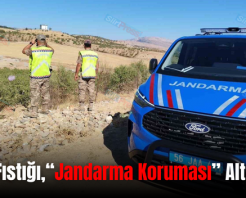 Siirt Fıstığı,“Jandarma Koruması” Altında!..