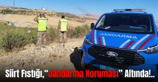 Siirt Fıstığı,“Jandarma Koruması” Altında!..