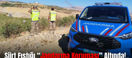 Siirt Fıstığı,“Jandarma Koruması” Altında!..