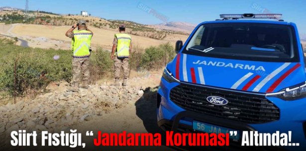 Siirt Fıstığı,“Jandarma Koruması” Altında!..