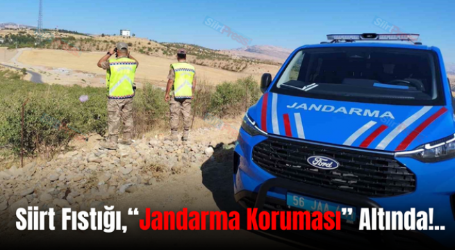 Siirt Fıstığı,“Jandarma Koruması” Altında!..