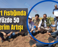 Siirt Fıstığında Yüzde 50 Verim Artışı