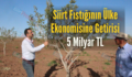 Siirt Fıstığının Ülke Ekonomisine Getirisi 5 Milyar TL