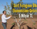 Siirt Fıstığının Ülke Ekonomisine Getirisi 5 Milyar TL