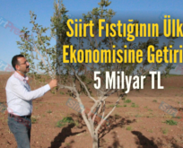 Siirt Fıstığının Ülke Ekonomisine Getirisi 5 Milyar TL