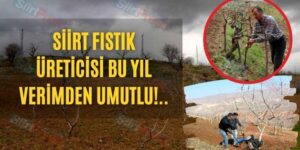 Siirt Fıstık Üreticisi Bu Yıl Verimden Umutlu!..