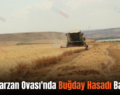Siirt Garzan Ovası’nda Buğday Hasadı Başladı