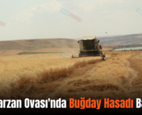 Siirt Garzan Ovası’nda Buğday Hasadı Başladı