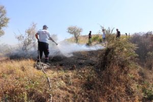 Siirt’in Gökçebağ beldesinde piknikçilerden arta kalan küllerin tutuştuğu fıstık bahçelerindeki