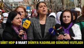 SİİRT HDP 8 MART DÜNYA KADINLAR GÜNÜNÜ KUTLADI