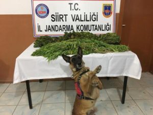 Siirt ve Eruh ilçe Jandarma komutanlığı Kaçakçılık Organize Suçlarla Mücadele
