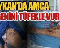 BAYKAN’DA AMCA YEĞENİNİ TÜFEKLE VURDU