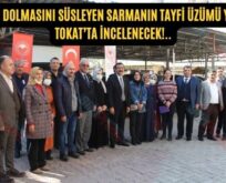 Siirt’in Dolmasını Süsleyen Sarmanın Tayfi Üzümü Yaprağı Tokat’ta İncelenecek!..