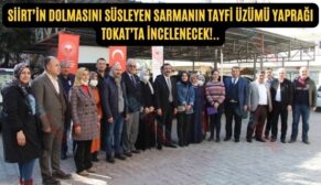 Siirt’in Dolmasını Süsleyen Sarmanın Tayfi Üzümü Yaprağı Tokat’ta İncelenecek!..