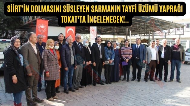 Siirt’in Dolmasını Süsleyen Sarmanın Tayfi Üzümü Yaprağı Tokat’ta İncelenecek!..