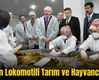 ‘Siirt’in Lokomotifi Tarım ve Hayvancılıktır’