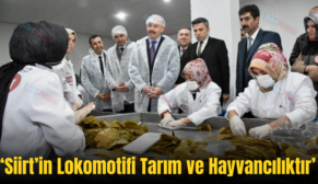 ‘Siirt’in Lokomotifi Tarım ve Hayvancılıktır’