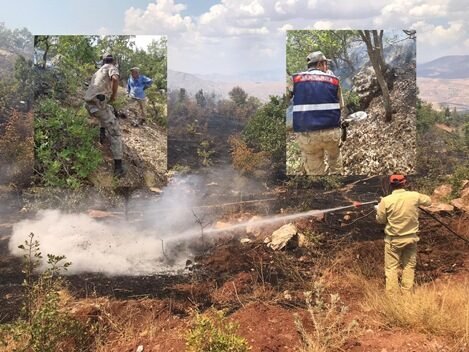 Siirt’in Pervari ve Tillo ilçeleri kırsallarında bugün meydana gelen Orman