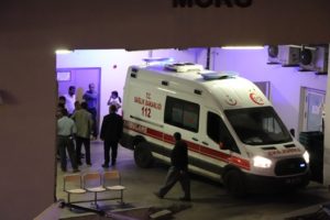 Siirt’in Şirvan ilçesinde evinin bahçesinde bulunan havuzdan su içmek isteyen