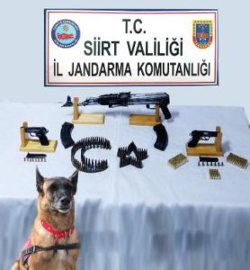 Siirt İl Jandarma Komutanlığı ekiplerince Batman’da ruhsatsız silah kaçakçılığı yapan