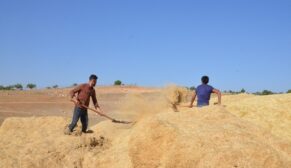 KURTALAN’DA ÇİFTÇİLERİN KIŞ STOĞU BAŞLADI