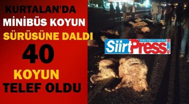 Siirt’in Kurtalan ilçesinde bir öğrenci servisi yoldan geçen koyun sürüsüne