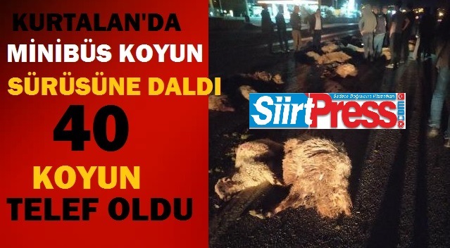 KURTALAN’DA MİNİBÜS KOYUN SÜRÜSÜNE DALDI: 40 KOYUN TELEF OLDU