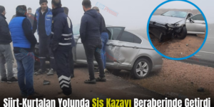 Siirt-Kurtalan Yolunda Sis Kazayı Beraberinde Getirdi