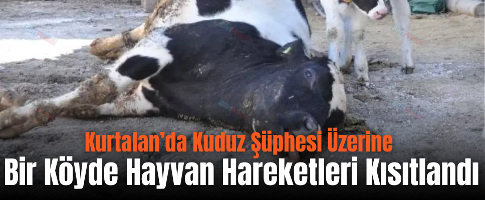 Kurtalan’da Kuduz Şüphesi Üzerine Bir Köyde Hayvan Hareketleri Kısıtlandı