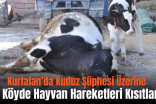 Kurtalan’da Kuduz Şüphesi Üzerine Bir Köyde Hayvan Hareketleri Kısıtlandı
