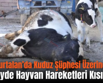 Kurtalan’da Kuduz Şüphesi Üzerine Bir Köyde Hayvan Hareketleri Kısıtlandı