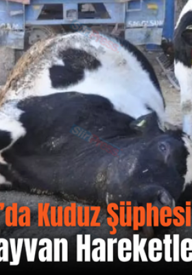 Kurtalan’da Kuduz Şüphesi Üzerine Bir Köyde Hayvan Hareketleri Kısıtlandı