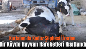 Kurtalan’da Kuduz Şüphesi Üzerine Bir Köyde Hayvan Hareketleri Kısıtlandı